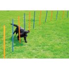 Agility slalom poles dogs training hurdles rods set 12 pieces + bag