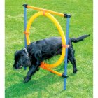 Agility Jump Ring Dog Training Hurdle - Agility jumping ring - 117x10x10cm