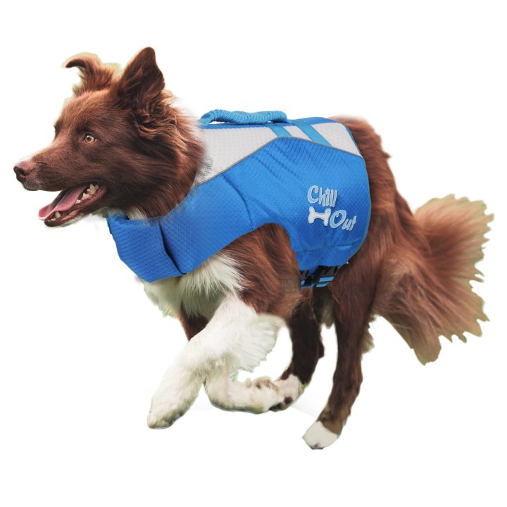 Rettungsweste Schwimmhilfe für Hund Chill Out – Dog Life Jacket – Größe M