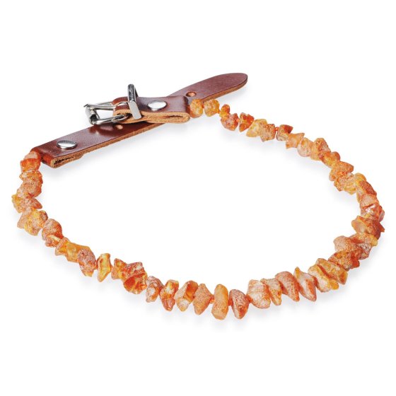 Amber necklace amber necklace with leather clasp for dogs + cats 51-55 cm