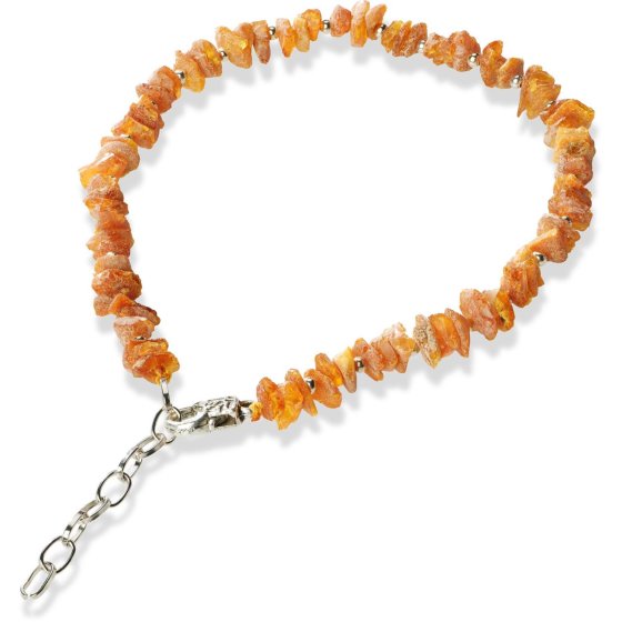 Amber collar amber necklace with chain for dogs + cats 50-54 cm