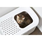 3er Sparpack cat toilet HOP IN entry from above beige with free cat mat
