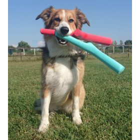 New rugged dog toy jumps and floats - ideal for outdoor games
