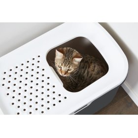 Savings pack cat toilet HOP IN dark gray + XXL spreading scoop + free cat toys