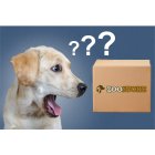 Surprise box Surprise game package Treasure chest for all dogs