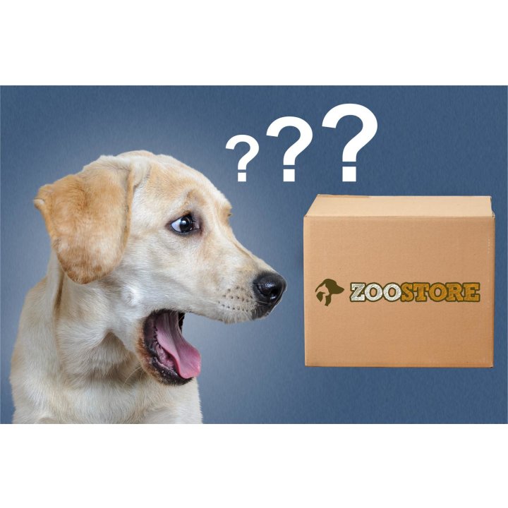 Überraschungsbox Überraschungs-Spielpaket Schatzkiste für alle kleine und mittleren Hunde bis 10 kg