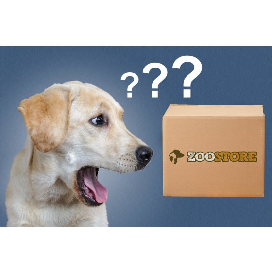Surprise box Surprise game package Treasure chest for all small and medium dogs up to 10 kg