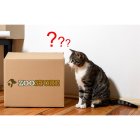 Surprise Box Surprise Game Package Treasure chest for all cats