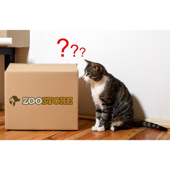 Überraschungsbox Überraschungs-Spielpaket Schatzkiste für alle große Katzen