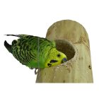 Economy Package 5 bird toy nesting box Kozy Keet ideal for parakeets and small parrots