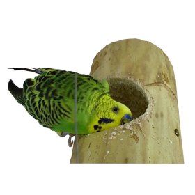 3er Sparpack Vogelspielzeug Nisthöhle Kozy Keet ideal für Sittiche und kleine Papageien