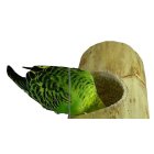 3er Sparpack Vogelspielzeug Nisthöhle Kozy Keet ideal für Sittiche und kleine Papageien
