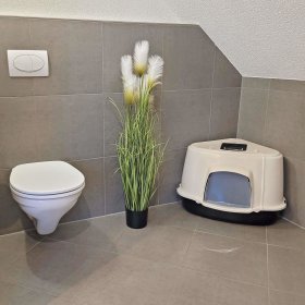 Big cat toilet clearance