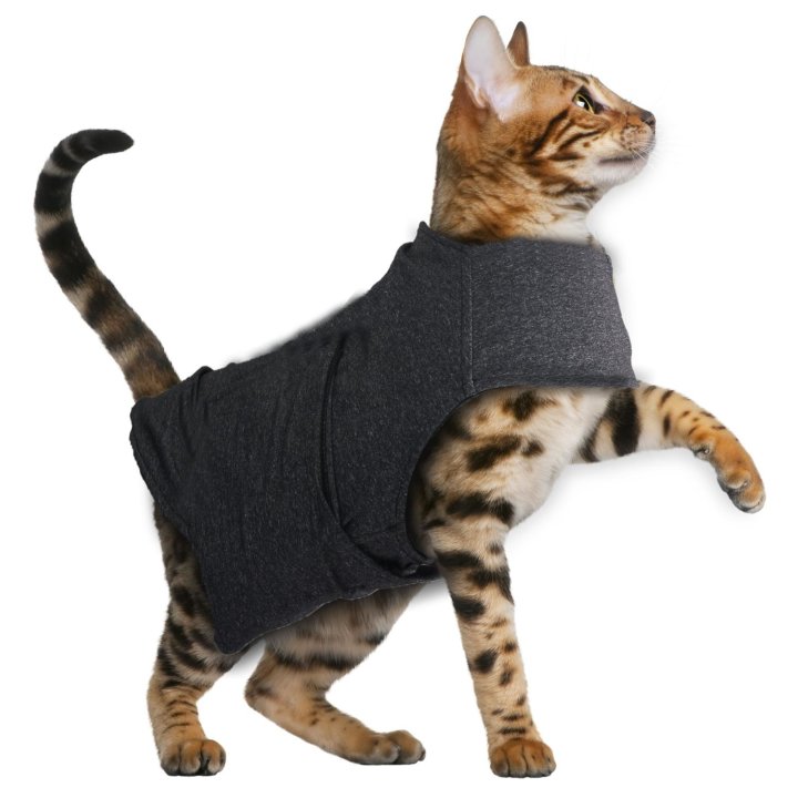 Beruhigungsweste zur Angstbekämpfung Anti-Angst Jacke für Katzen bis 4 kg / 22 – 33 cm