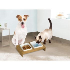 Feeding Station Ceramic Bowl Set Double Bowl for Cats and...