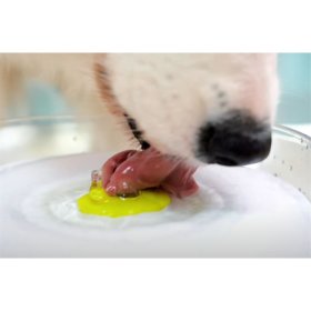 (B-WARE) Trinkbrunnen Wasserspender Tränke für Hunde und Katzen mit UV-Desinfektion