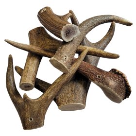 Red Deer - Antlers Chew Antler Dog Snack Size XS to XL
