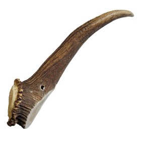 Red deer - antlers chewing stick dog snack size L -160 to...