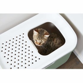 (B-WARE) Katzentoilette Katzenklo HOP IN mit Einstieg von oben hellgrün-weiss
